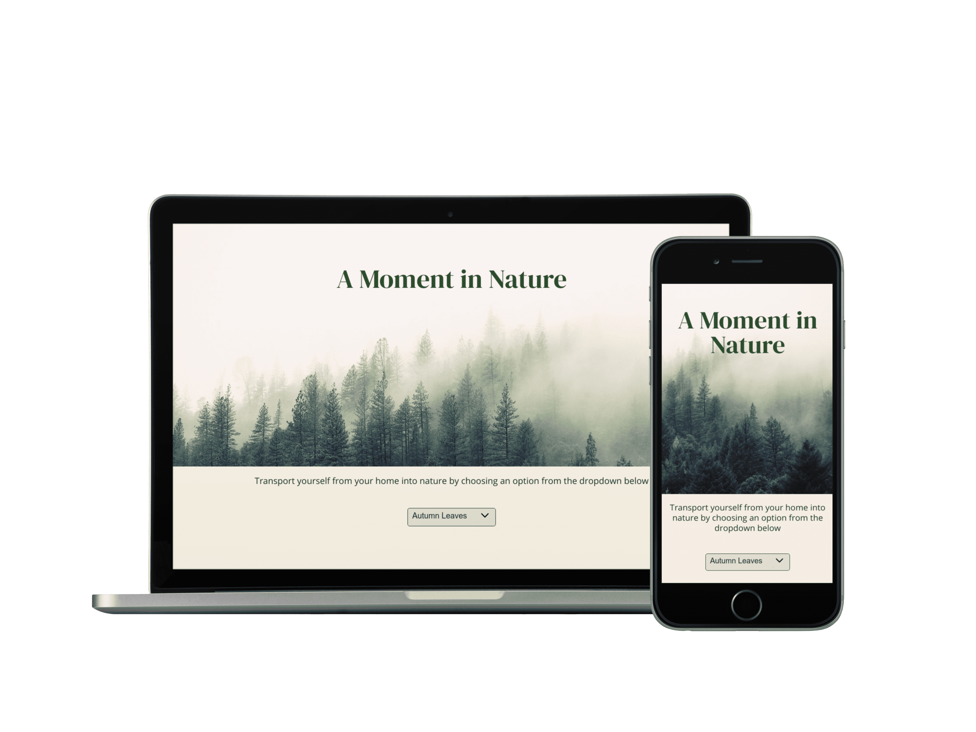 laptop and mobile view of A Moment in Nature website